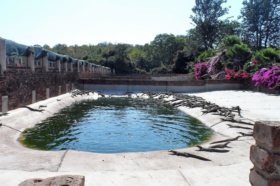 0 Bedroom Property for Sale in Mookgopong Limpopo