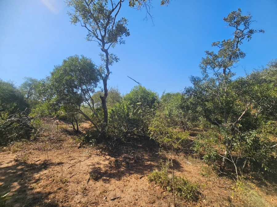0 Bedroom Property for Sale in Moditlo Wildlife Estate Limpopo