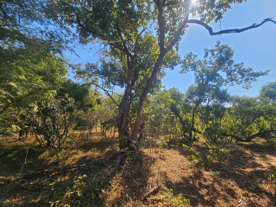 0 Bedroom Property for Sale in Moditlo Wildlife Estate Limpopo