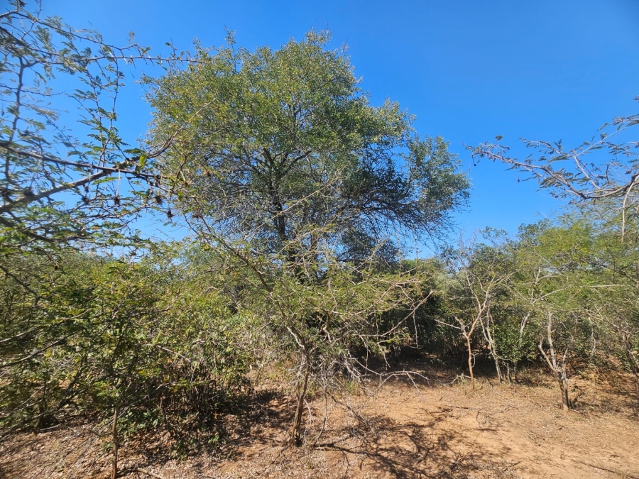 0 Bedroom Property for Sale in Moditlo Wildlife Estate Limpopo