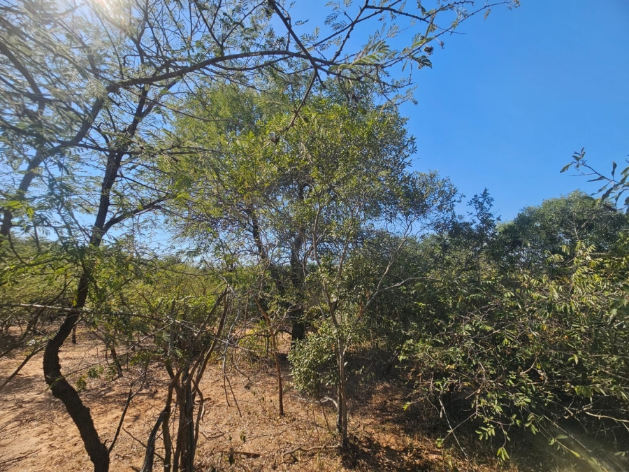 0 Bedroom Property for Sale in Moditlo Wildlife Estate Limpopo