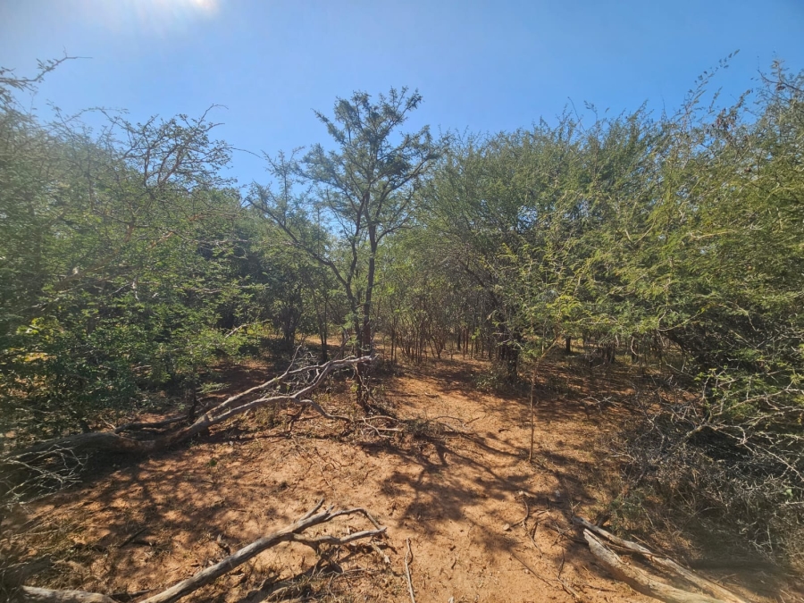 0 Bedroom Property for Sale in Moditlo Wildlife Estate Limpopo