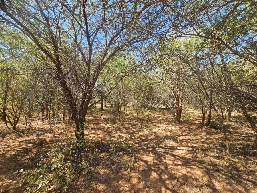 0 Bedroom Property for Sale in Moditlo Wildlife Estate Limpopo