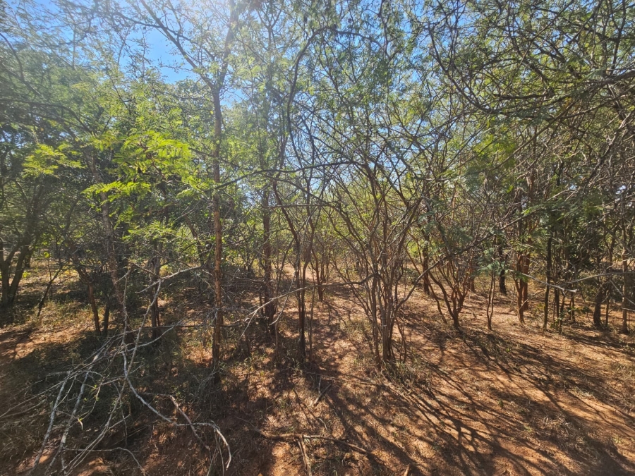 0 Bedroom Property for Sale in Moditlo Wildlife Estate Limpopo