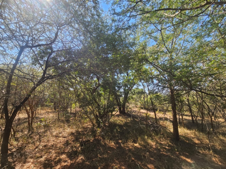 0 Bedroom Property for Sale in Moditlo Wildlife Estate Limpopo