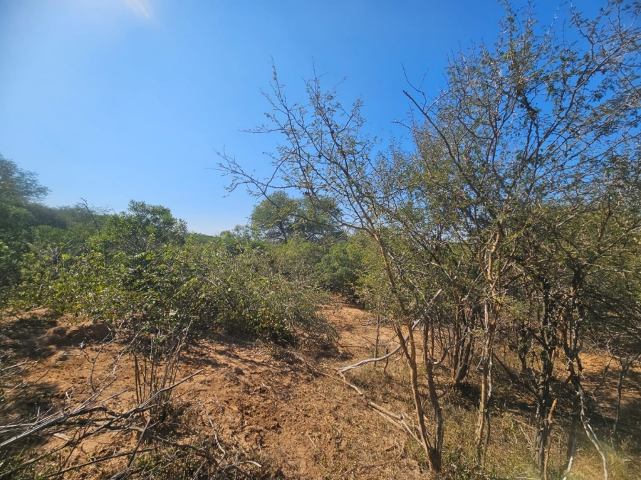 0 Bedroom Property for Sale in Moditlo Wildlife Estate Limpopo