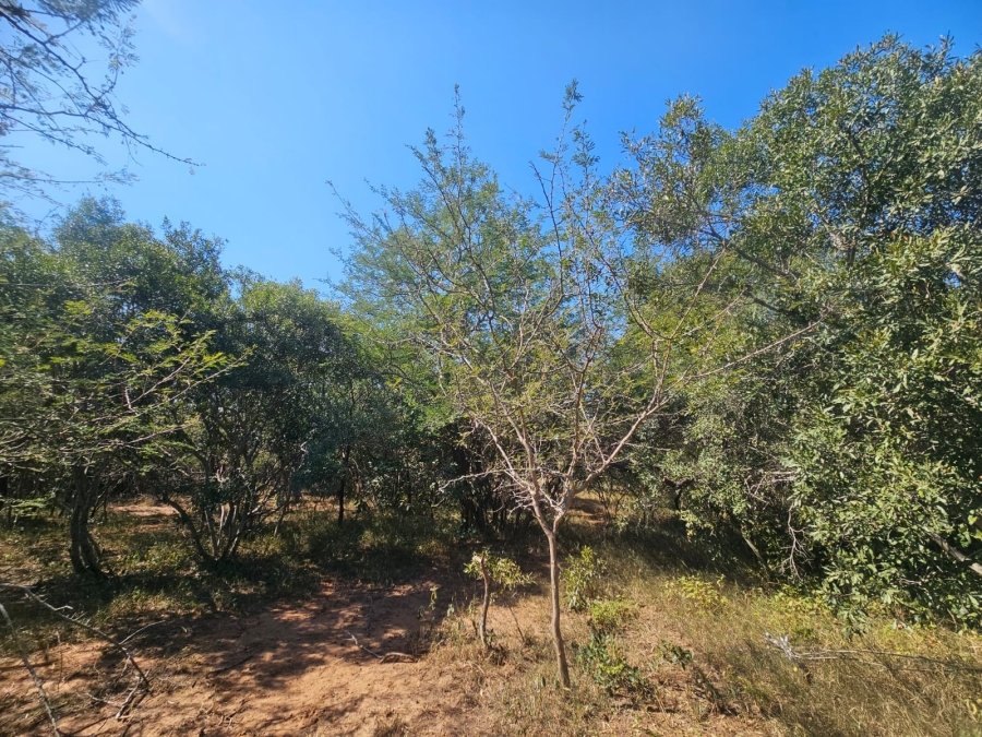 0 Bedroom Property for Sale in Moditlo Wildlife Estate Limpopo