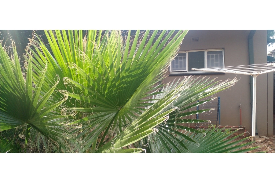 4 Bedroom Property for Sale in Moregloed Limpopo
