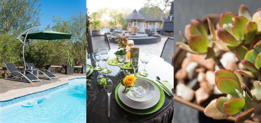 Commercial Property for Sale in Hoedspruit Wildlife Estate Limpopo