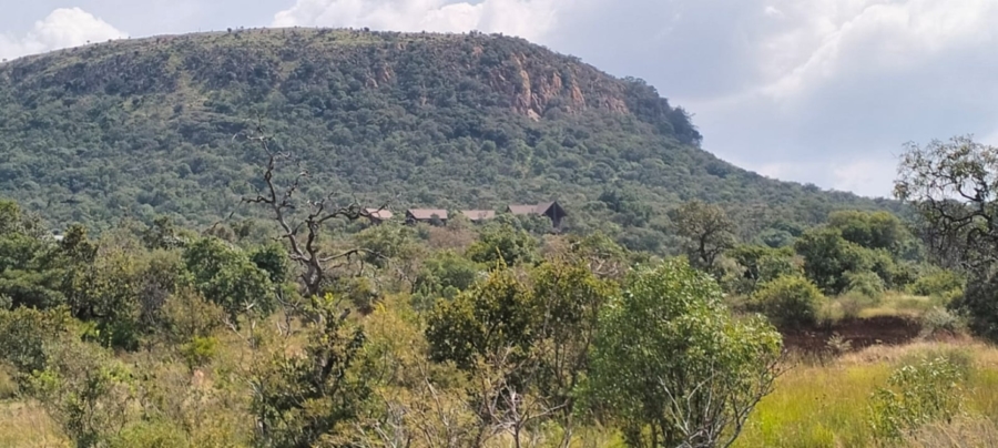 5 Bedroom Property for Sale in Modimolle Limpopo