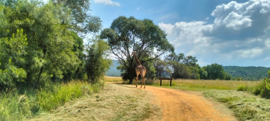 5 Bedroom Property for Sale in Modimolle Limpopo