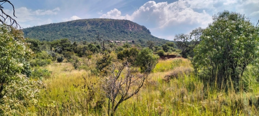 5 Bedroom Property for Sale in Modimolle Limpopo
