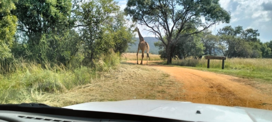 5 Bedroom Property for Sale in Modimolle Limpopo