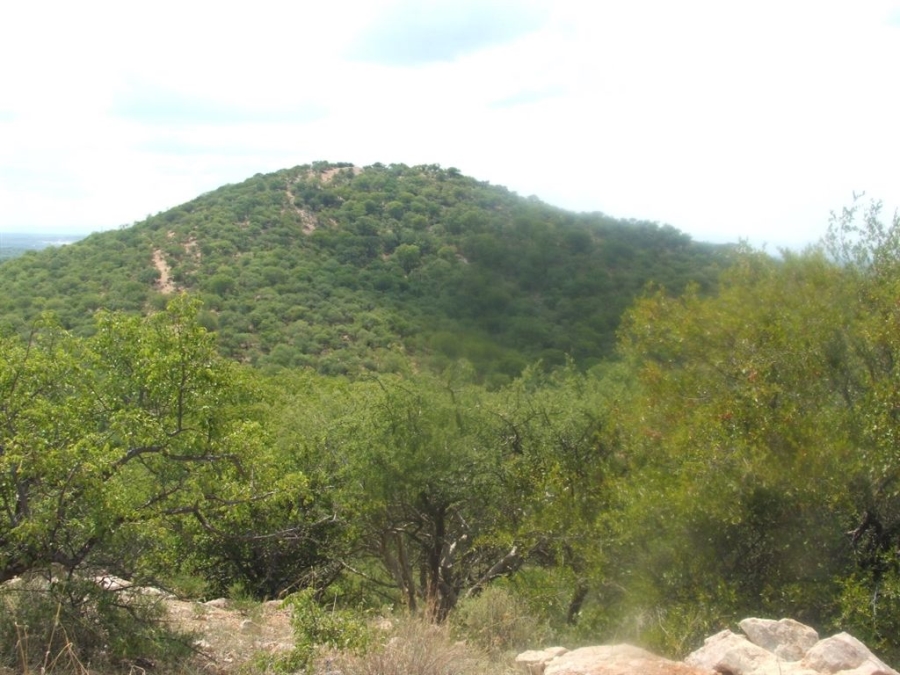 Commercial Property for Sale in Musina Limpopo