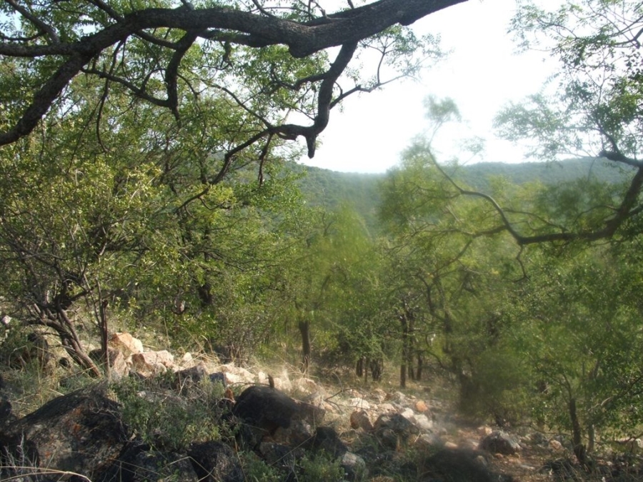 Commercial Property for Sale in Musina Limpopo