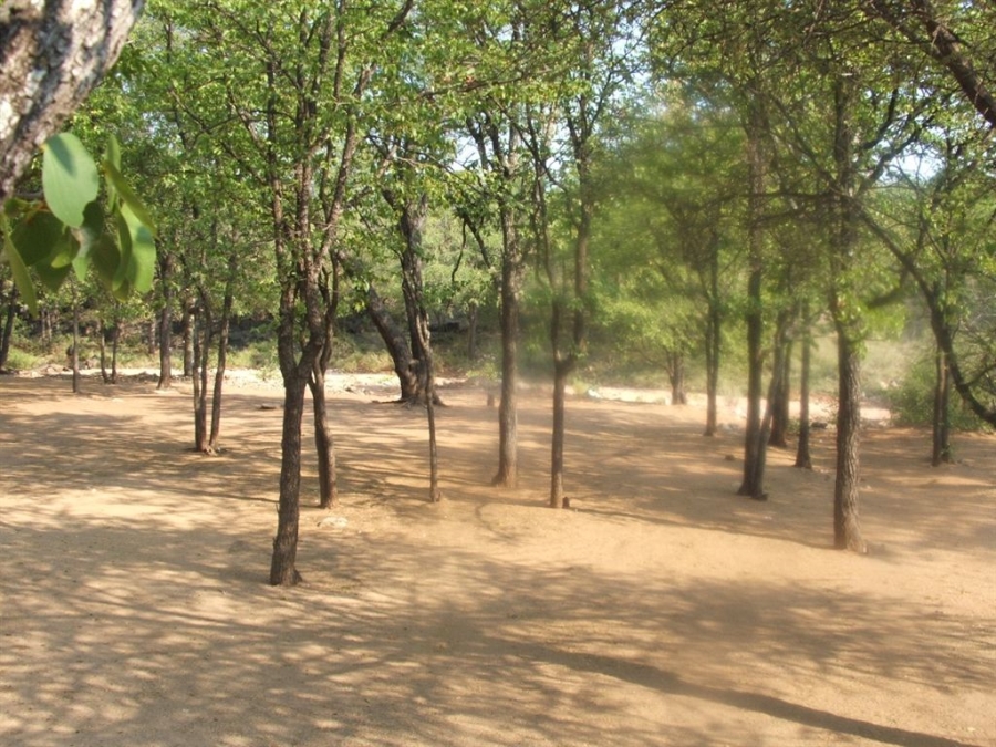 Commercial Property for Sale in Musina Limpopo