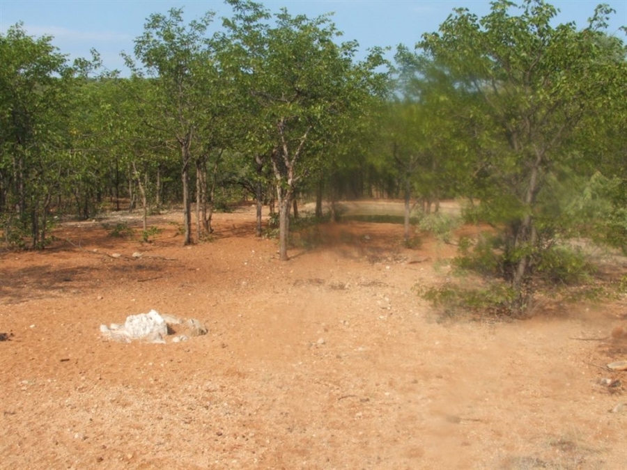 Commercial Property for Sale in Musina Limpopo