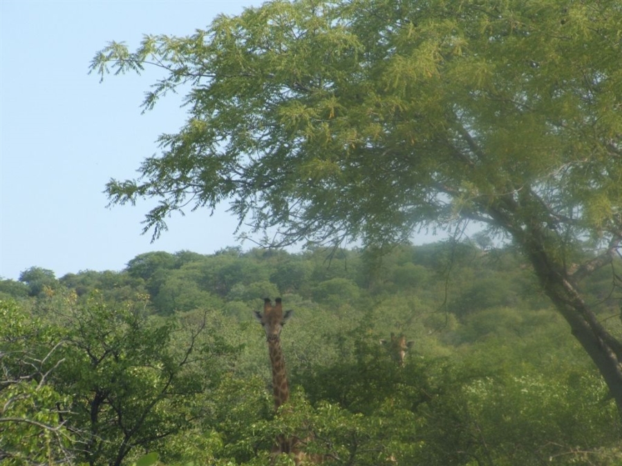 Commercial Property for Sale in Musina Limpopo
