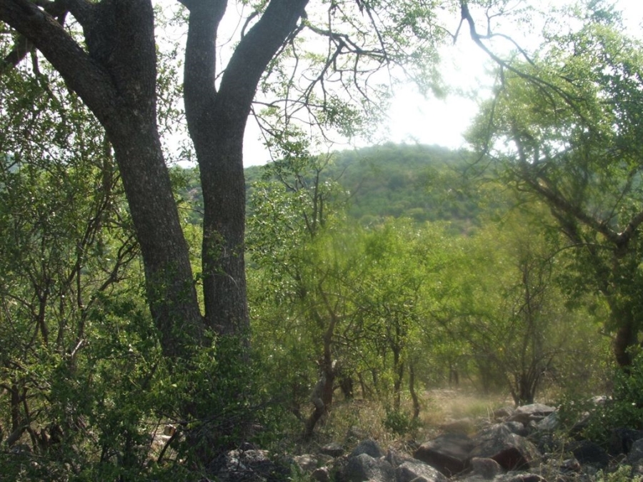 Commercial Property for Sale in Musina Limpopo