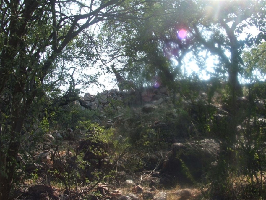 Commercial Property for Sale in Musina Limpopo