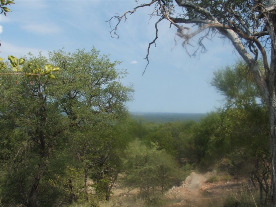 Commercial Property for Sale in Musina Limpopo