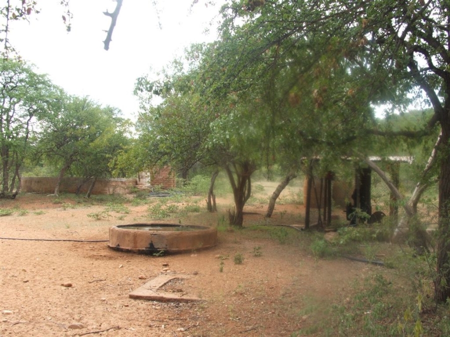Commercial Property for Sale in Musina Limpopo