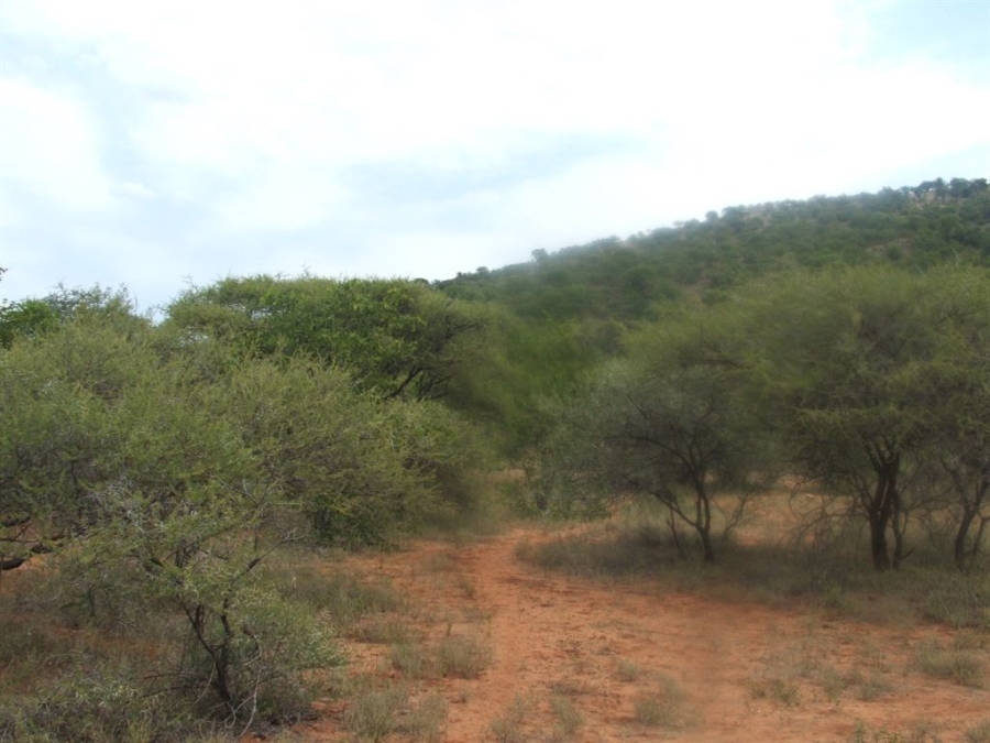 Commercial Property for Sale in Musina Limpopo