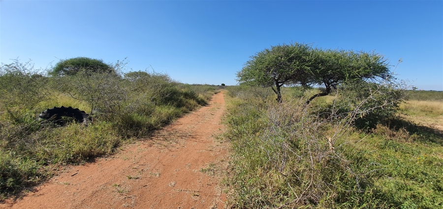 Commercial Property for Sale in Louis Trichardt Limpopo