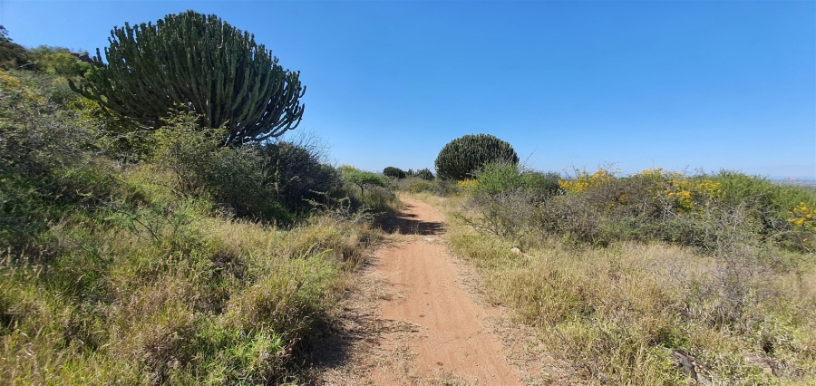 Commercial Property for Sale in Louis Trichardt Limpopo