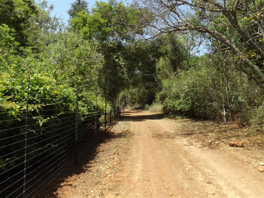 Commercial Property for Sale in Ohrigstad Limpopo