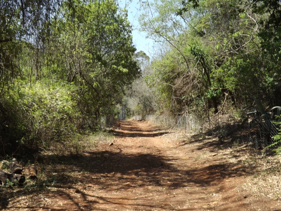 Commercial Property for Sale in Ohrigstad Limpopo