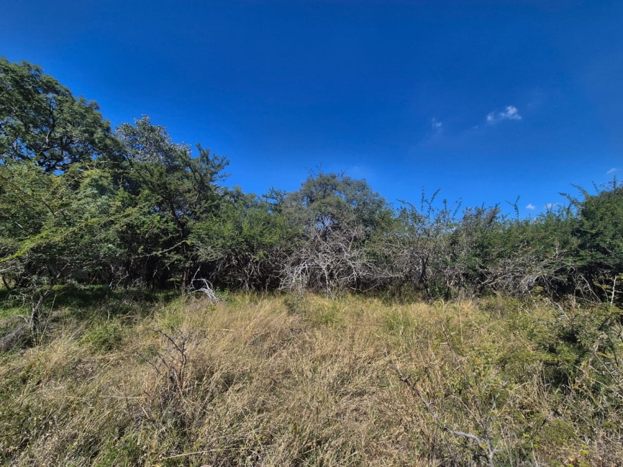 0 Bedroom Property for Sale in Euphoria Golf Estate Limpopo