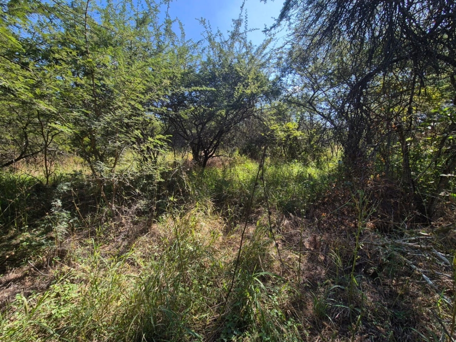 0 Bedroom Property for Sale in Euphoria Golf Estate Limpopo