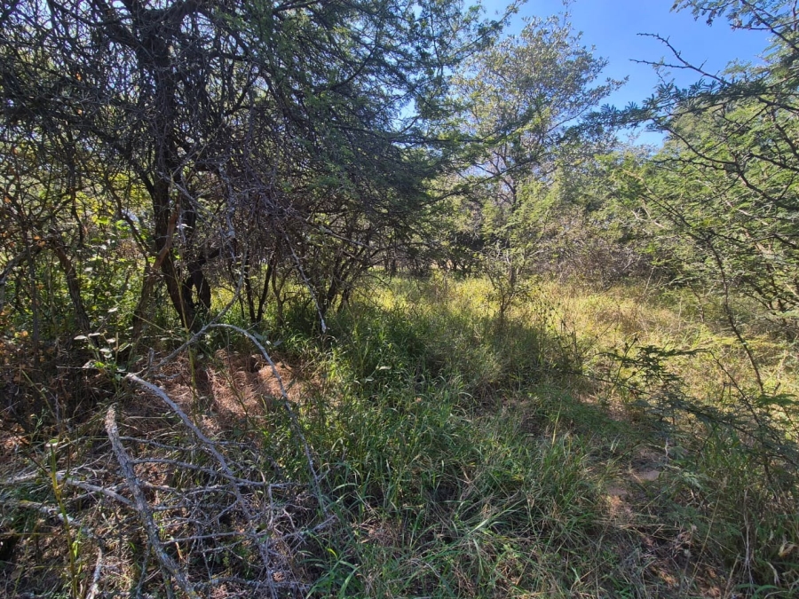 0 Bedroom Property for Sale in Euphoria Golf Estate Limpopo