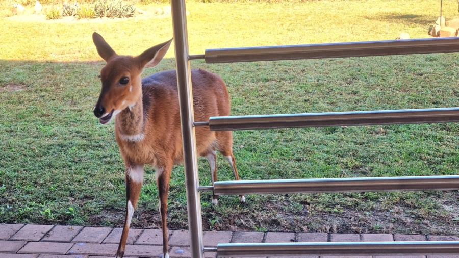 4 Bedroom Property for Sale in Koro Creek Golf Estate Limpopo