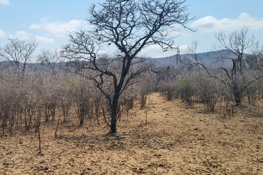 2 Bedroom Property for Sale in Modjadjiskloof Limpopo