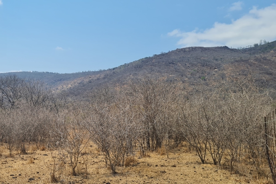 2 Bedroom Property for Sale in Modjadjiskloof Limpopo