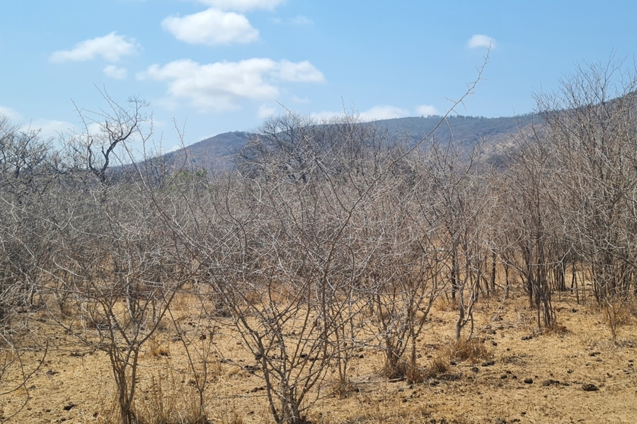 2 Bedroom Property for Sale in Modjadjiskloof Limpopo