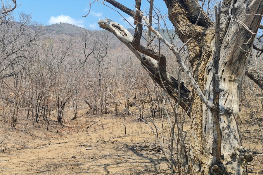 2 Bedroom Property for Sale in Modjadjiskloof Limpopo