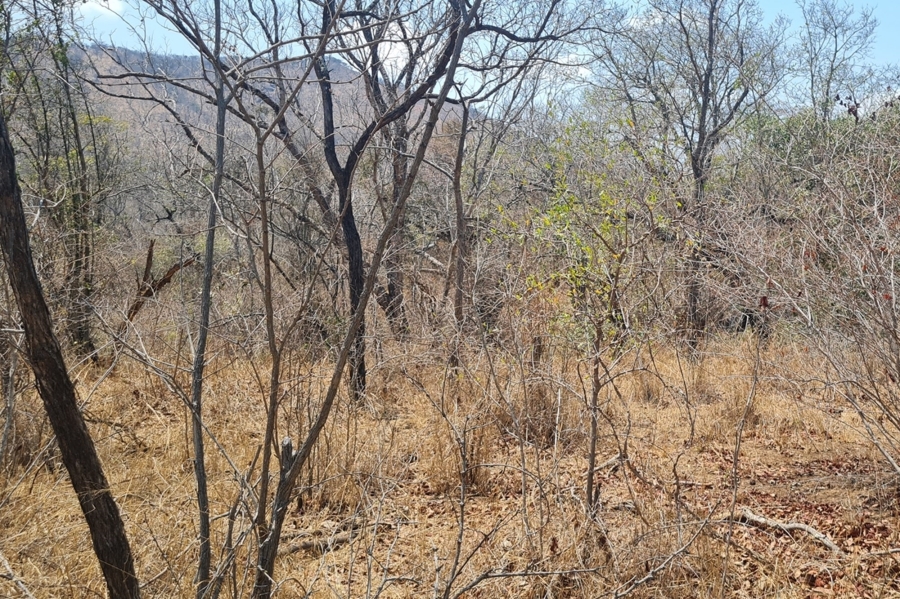 2 Bedroom Property for Sale in Modjadjiskloof Limpopo