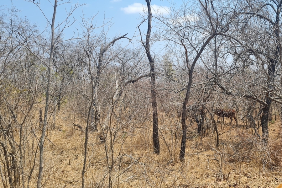 2 Bedroom Property for Sale in Modjadjiskloof Limpopo