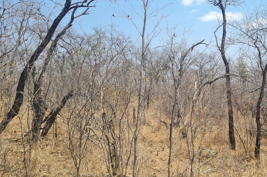 2 Bedroom Property for Sale in Modjadjiskloof Limpopo