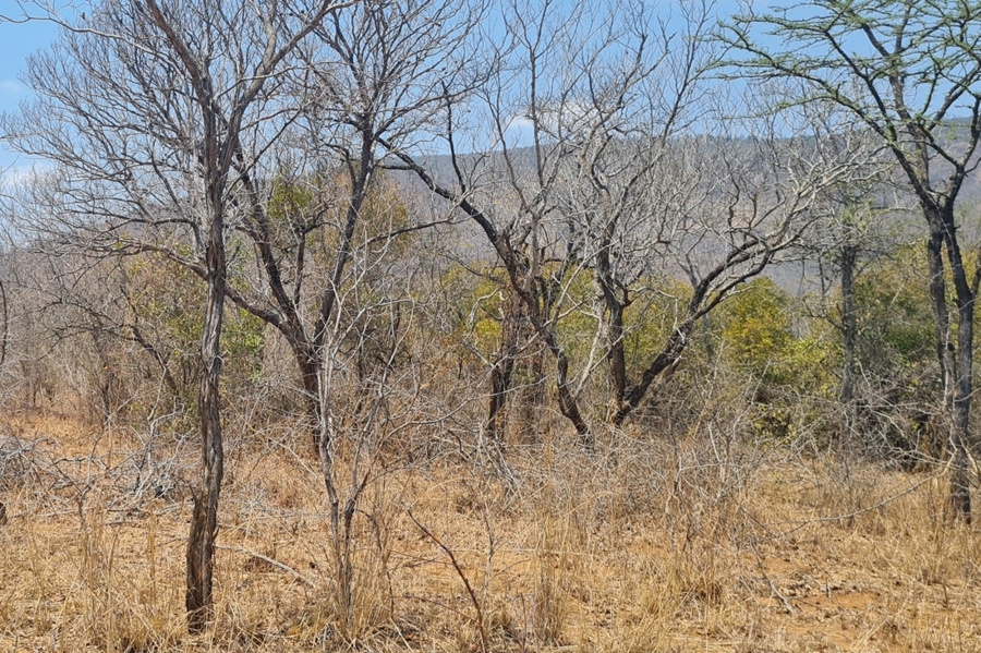 2 Bedroom Property for Sale in Modjadjiskloof Limpopo
