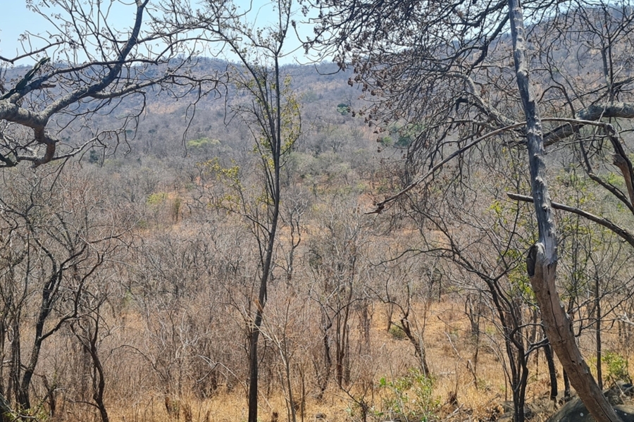 2 Bedroom Property for Sale in Modjadjiskloof Limpopo