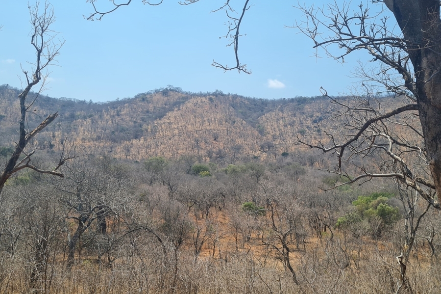 2 Bedroom Property for Sale in Modjadjiskloof Limpopo