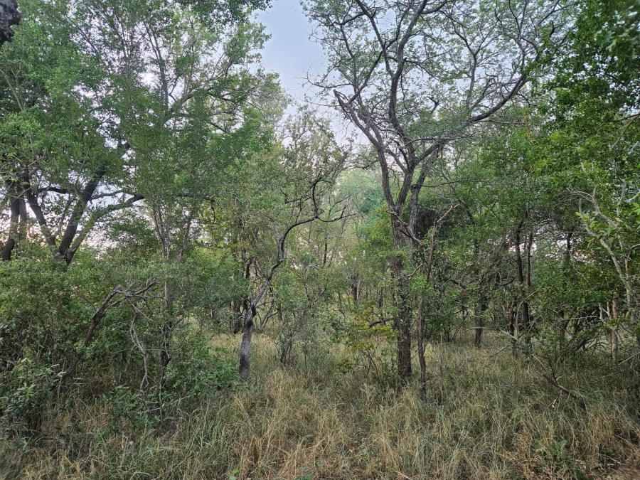 0 Bedroom Property for Sale in Moditlo Wildlife Estate Limpopo