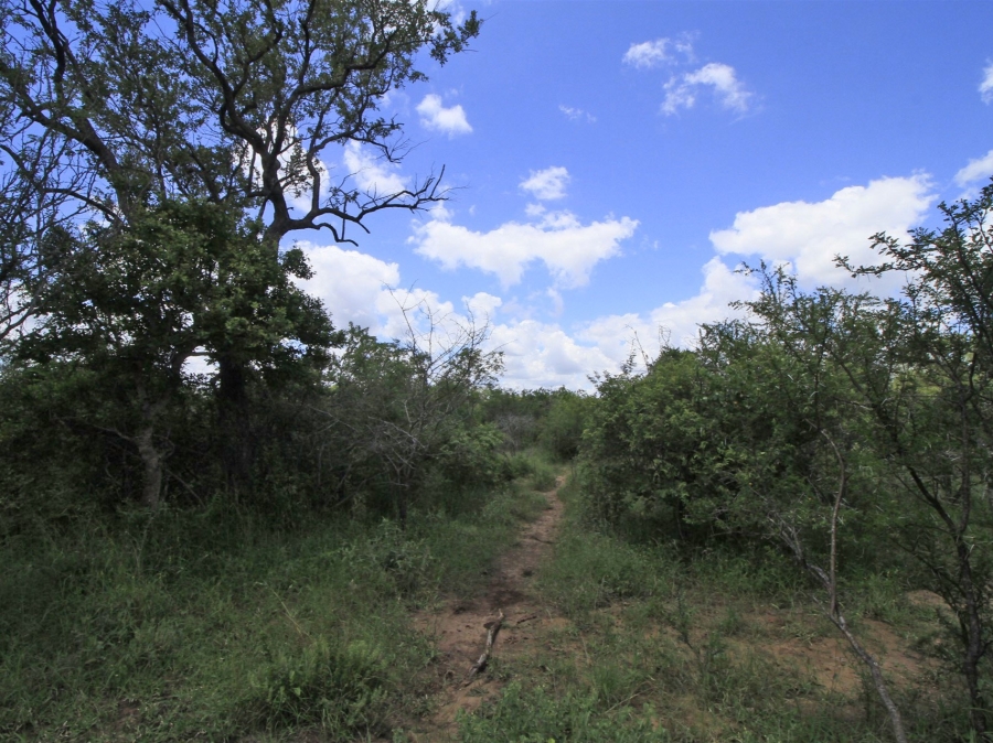 0 Bedroom Property for Sale in Moditlo Wildlife Estate Limpopo