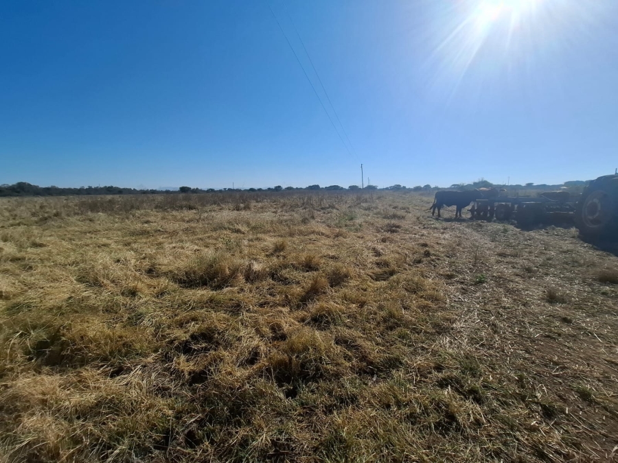 3 Bedroom Property for Sale in Bela Bela Limpopo