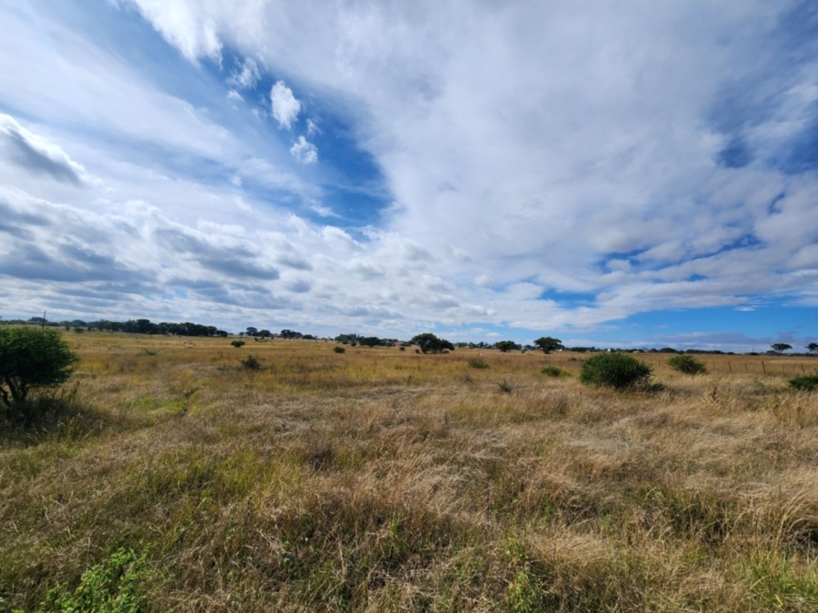 3 Bedroom Property for Sale in Doornbult Limpopo