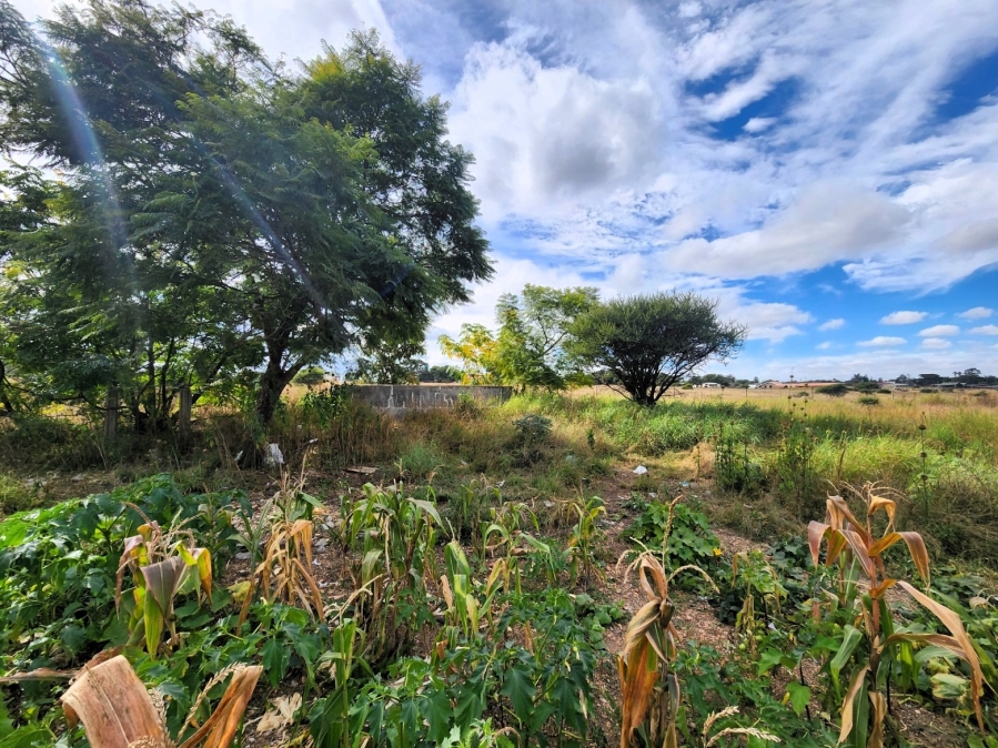 3 Bedroom Property for Sale in Doornbult Limpopo